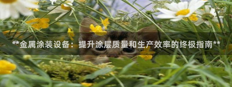 美狮美高梅酒店客房