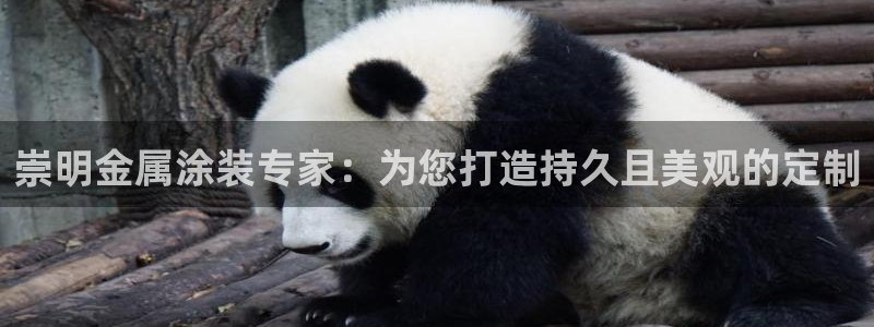 美高梅图标