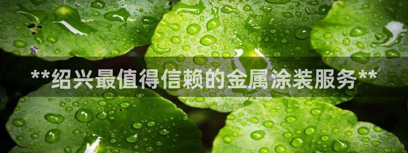 美高梅酒店自助餐