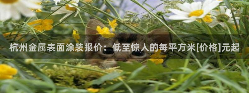 美高梅国际酒店集团介绍