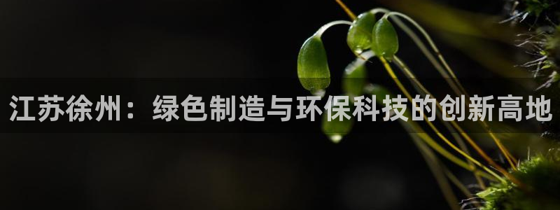 美高梅下午茶