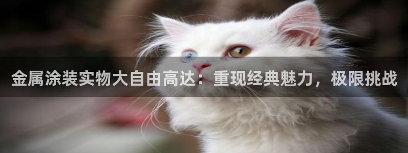 美高梅门口的狮子介绍