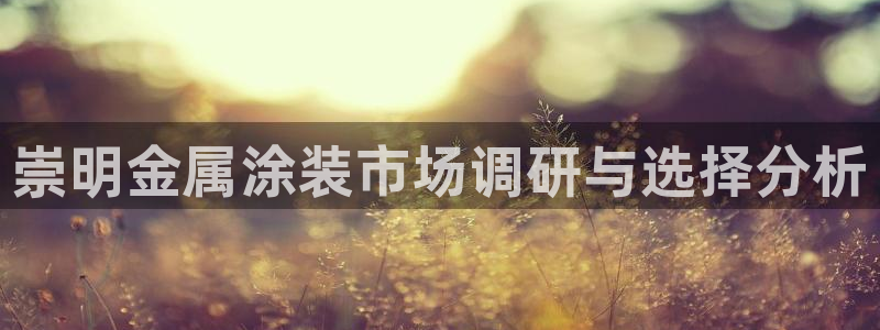 美高梅酒店何超琼