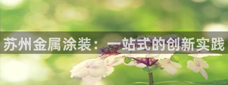 美高梅会员卡等级怎么分