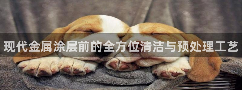 美高梅酒店分布