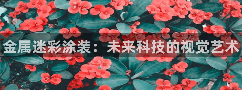 美高梅北京国际文化旅游发展有限公司