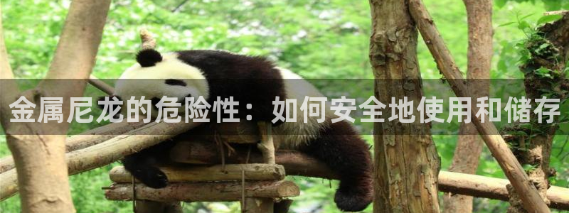三亚美高梅度假酒店是何超琼的吗