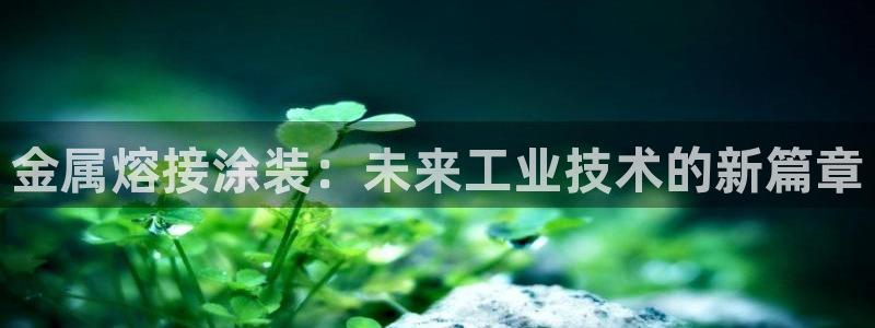 美高梅酒店老板是何超琼