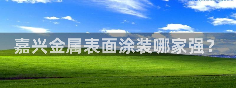 美高梅空中海洋秀在哪里