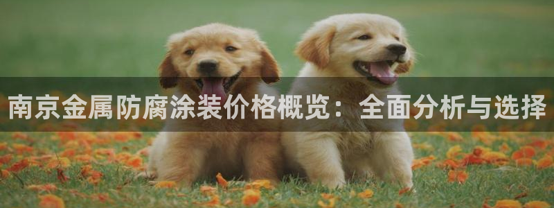 美高梅是哪里的公司