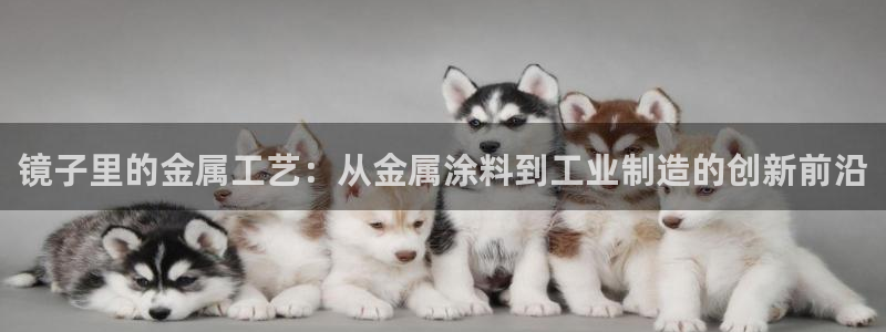 美高梅酒店vogue杂志