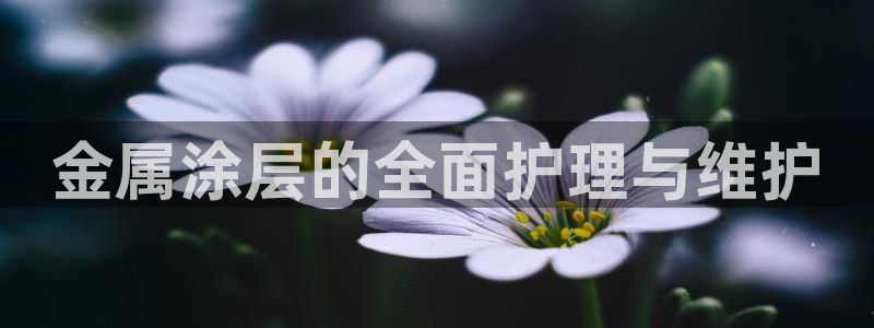 美高梅母公司