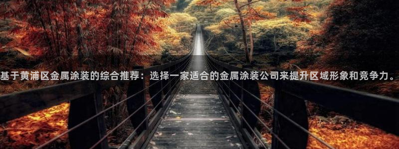 美高梅狮王卡值多少钱