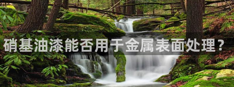 美高梅下午茶