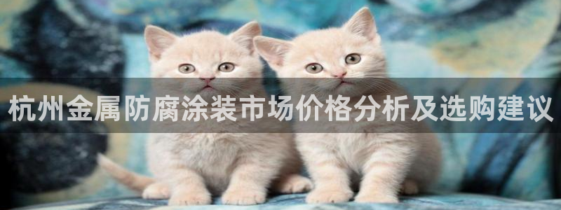 美高梅冯小峰简介