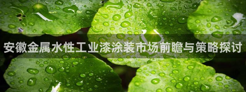 美高梅会员卡如何申请