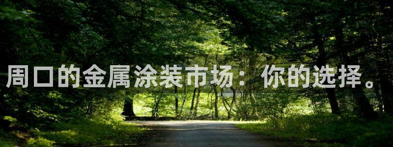 美高梅中国是什么公司