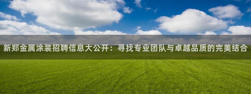 美高梅公司