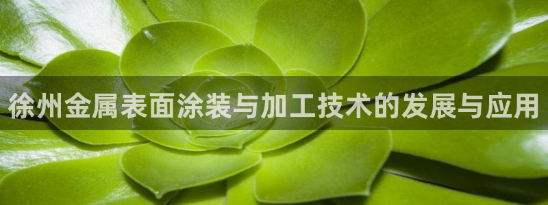 美高梅客户服务中心招聘