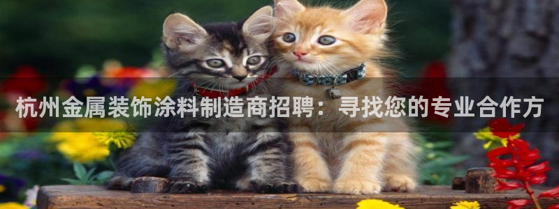 美高梅会员卡级别