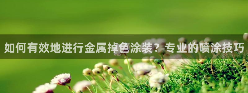 美高梅是做什么的?：如何有效地进行金属掉