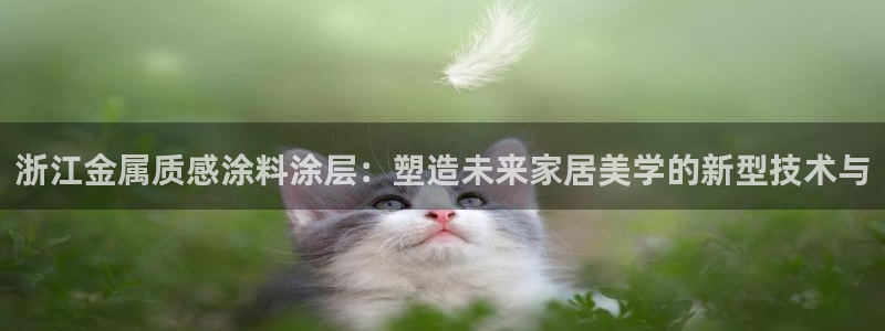 美高梅51平户型图