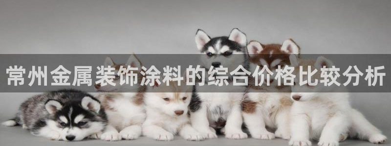 美狮美高梅酒店离哪个口岸近