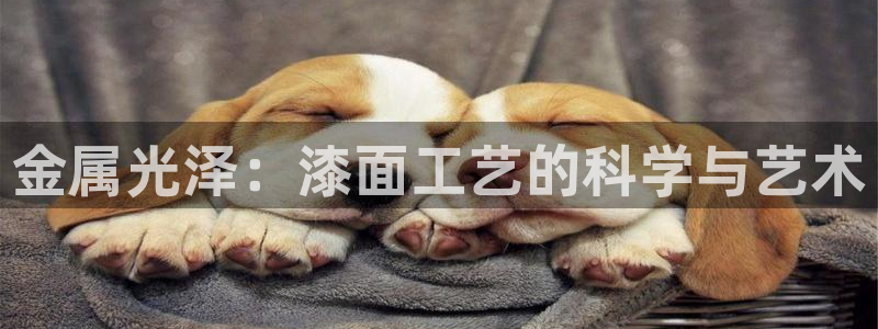 美狮美高梅酒店设计师