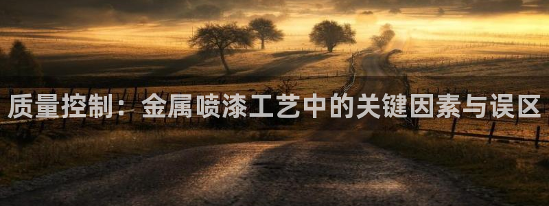 美高梅国际集团简介