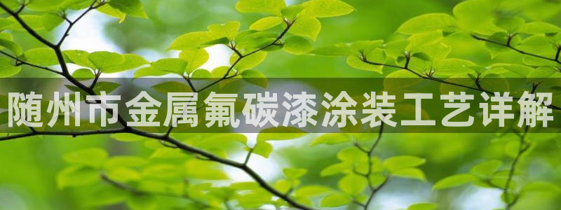 美高梅酒店和希尔顿酒店哪个好