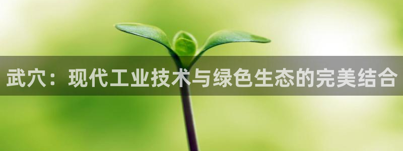 鲁能钓鱼台美高梅别墅二手房