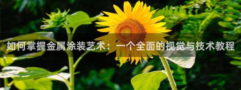 美高梅酒店到南海观音