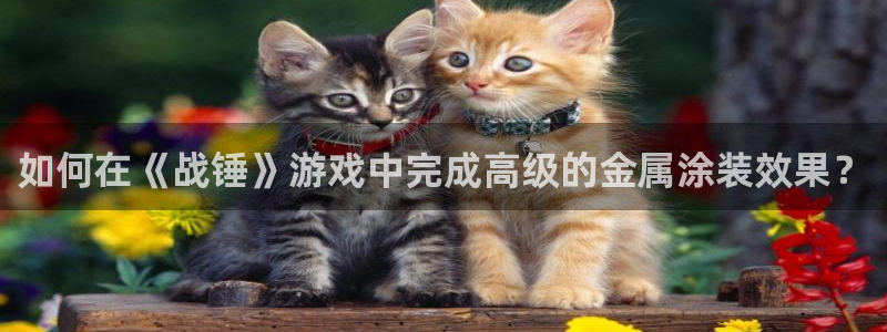 美高梅游戏官网app可以玩吗安卓