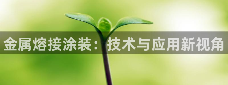 美高梅儿童托管怎么样