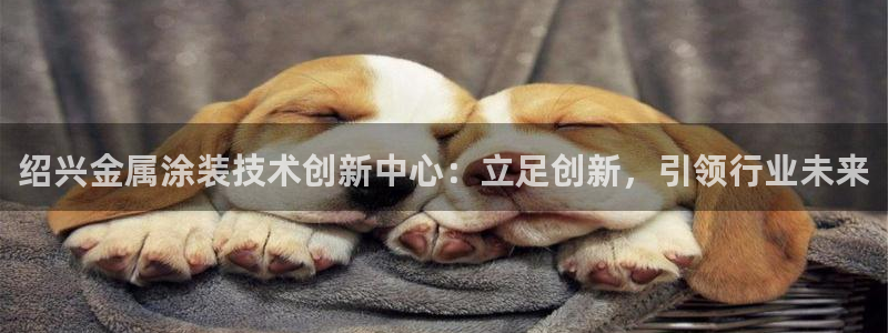 美高梅酒店有多少层高