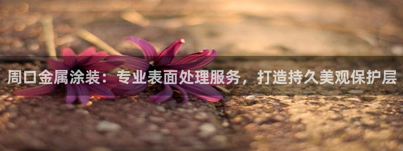 美高梅北京项目：周口金属涂装：专业表面处