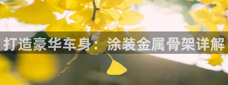 美狮美高梅酒店晚上有吃吗：打造豪华车身：