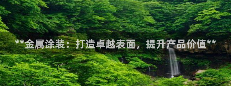 美狮美高梅百度百科：**金属涂装：打造卓