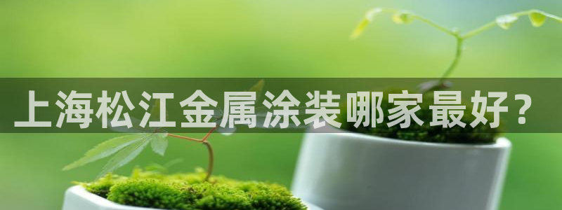 美高梅集团是哪个国家