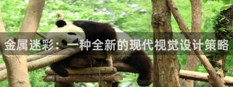 美高梅公司游戏注册网址是多少