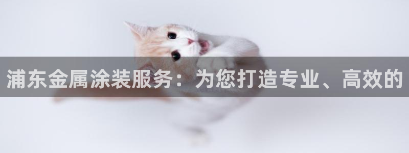 美高梅酒店的星级介绍