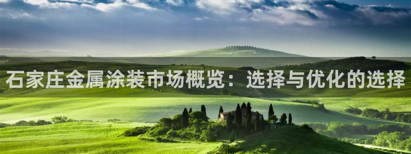 美高梅和米高梅是什么关系呀