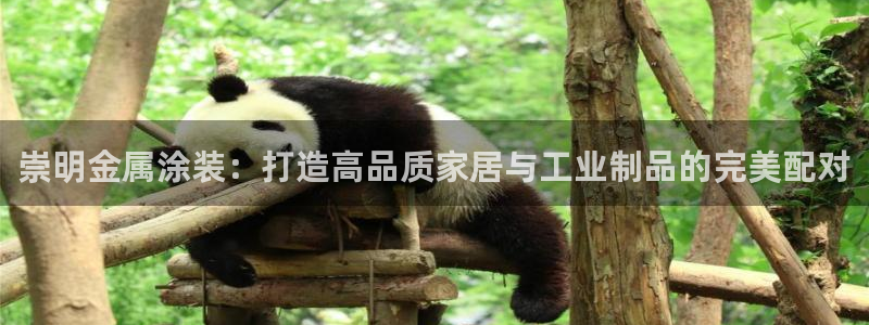 美高梅中国有限公司