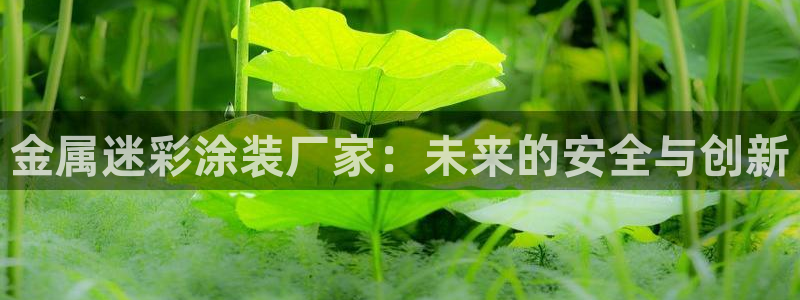 美高梅国际酒店集团和何超琼