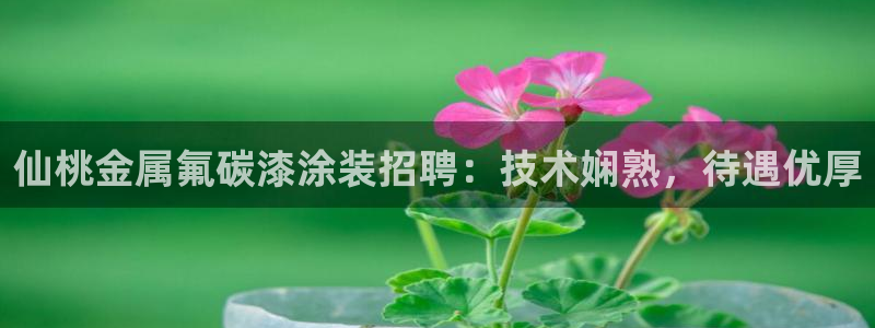 美高梅大酒店上海