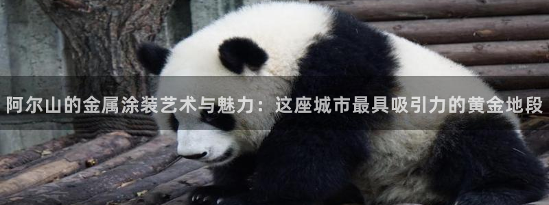 美高梅酒店免费奶茶是真的吗