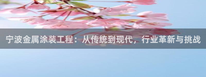 美高梅股东何超琼