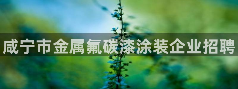 美高梅酒店青岛店地址