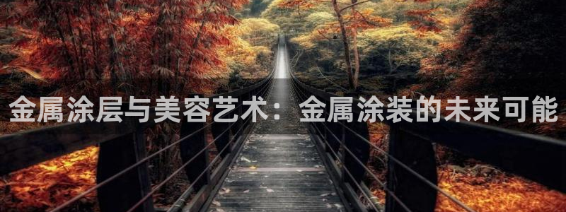 美高梅酒店特色