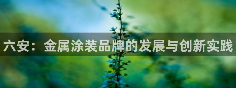 美高梅会员卡在哪里办